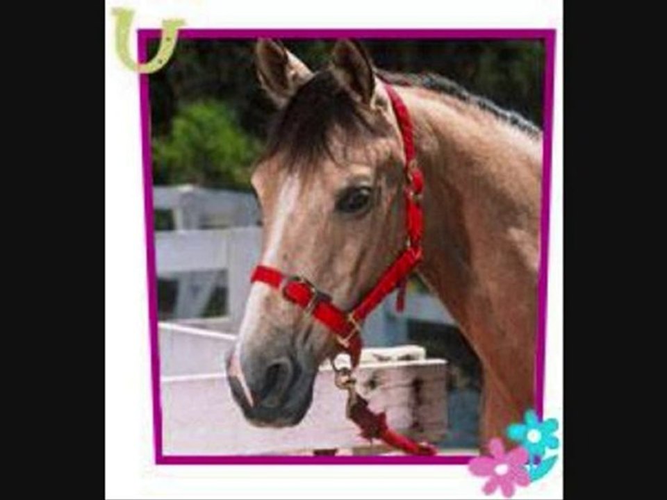 grand galop 1