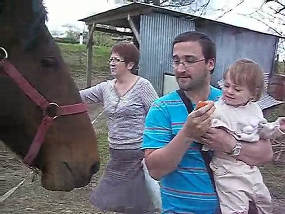 zoé donne à manger aux chevaux