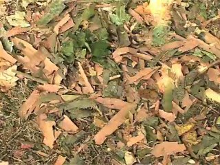 Bande annonce "Faites de l'image" 2010