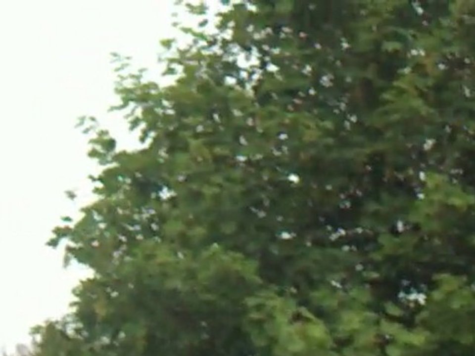 meeting aérien de prouvy - valenciennes du 14 juillet 2010