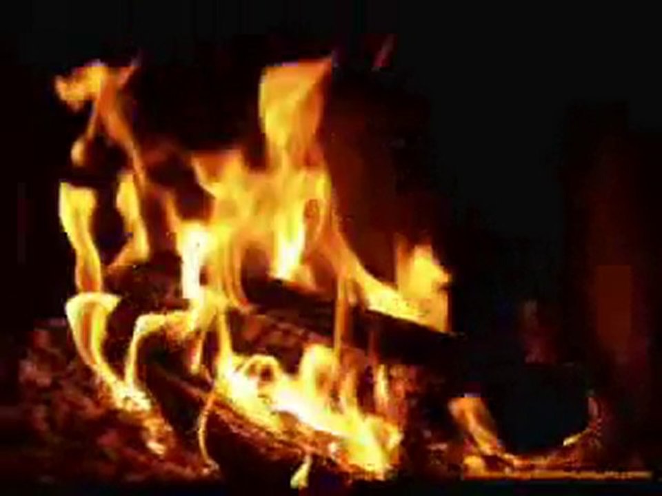 grup mavera : seni flistin gibi sevecegim, Vurulurlar...