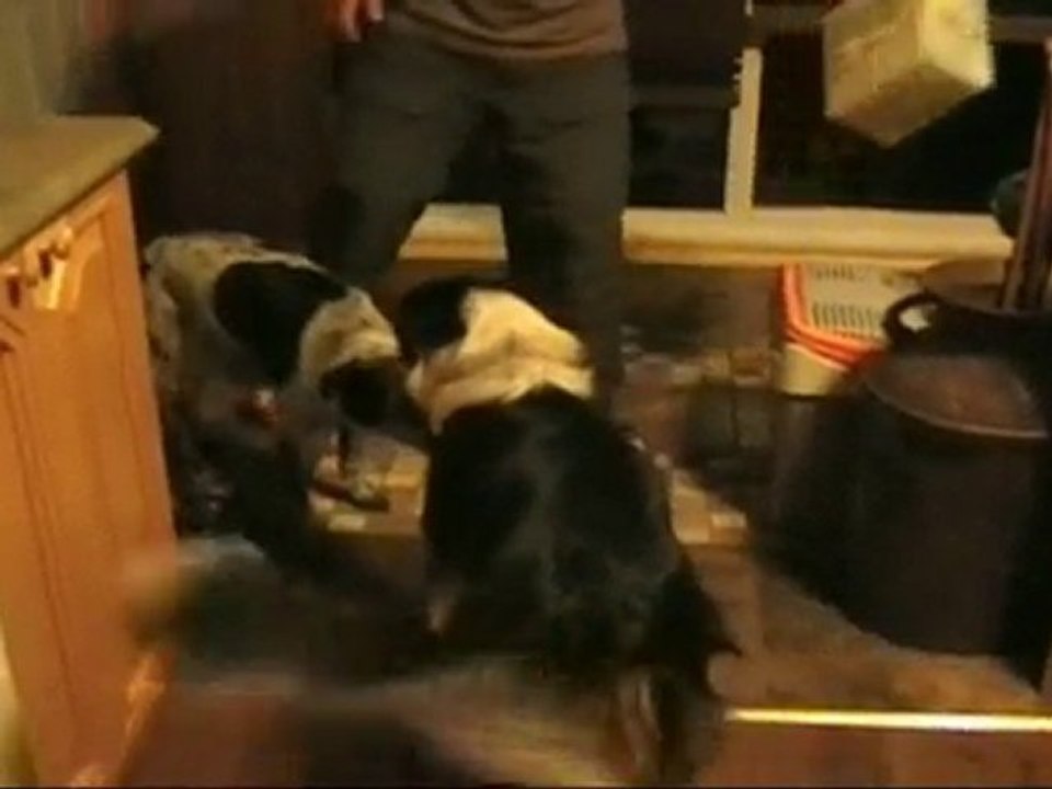 accueil keria et fergie