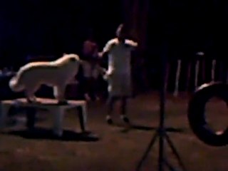 agility nocturne blagnac 2010 (11)