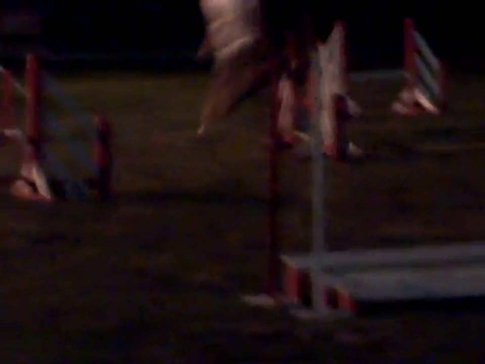 agility nocturne blagnac 2010 (14)