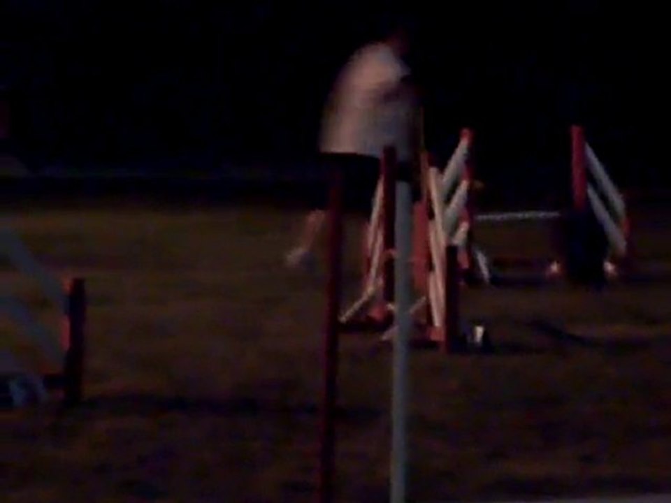 agility nocturne blagnac 2010 (15)