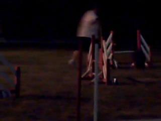 agility nocturne blagnac 2010 (15)