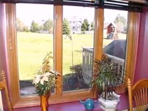 Homes for Sale - 1725 Apple Blossom Dr - Munster, IN 46321 -