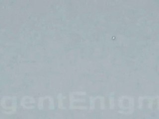 Daytime UFO over Phoenix Az - January 2010