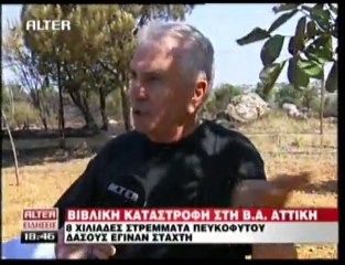pagritianews.gr- Εμπρηστές βλέπουν πίσω από τις φωτιές