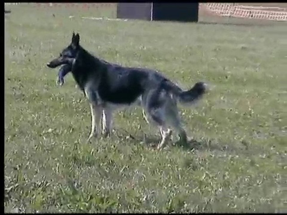 boomer NT le 3 juillet 2010