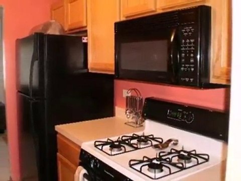 Homes for Sale - 5320 Crosswind Dr - Richton Park, IL 60471