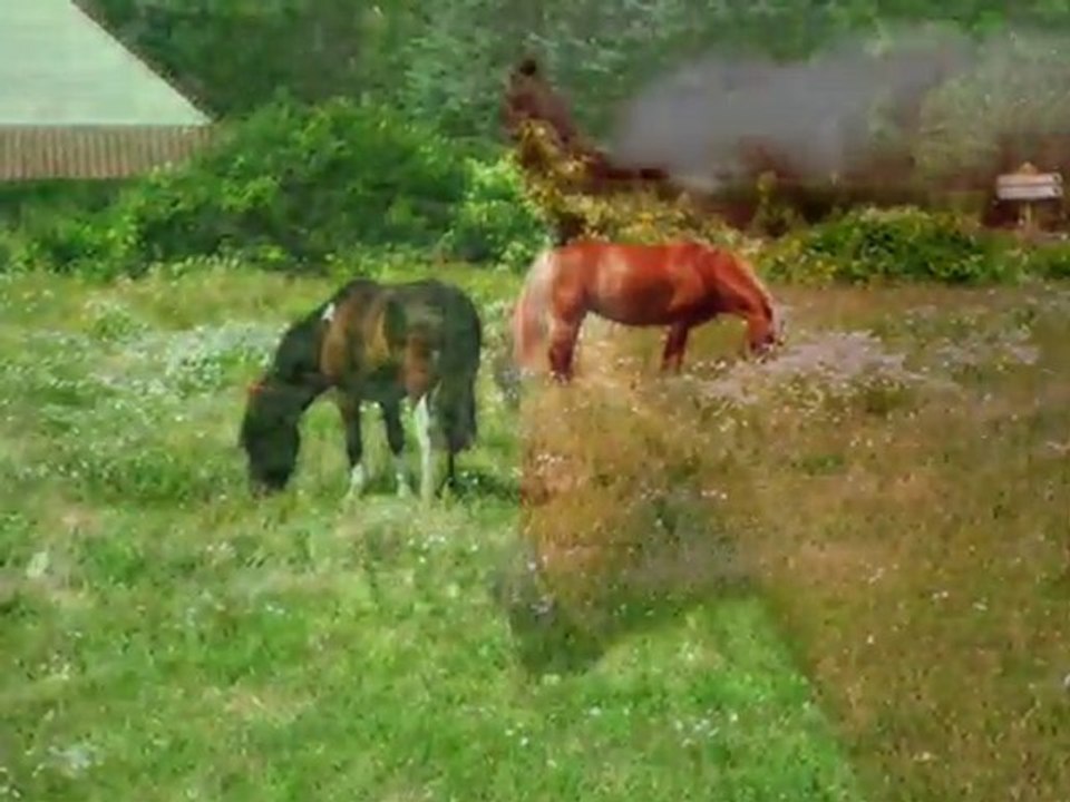 Milou et sa Prévouille