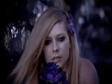 Forbidden Rose by Avril Lavigne