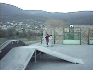 flip grind skate