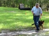 German Shepherd Slovak Obedience Commands