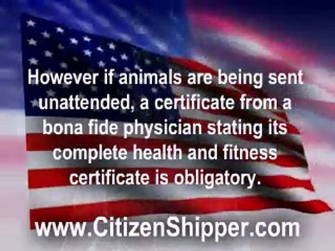 IATA Shipping Crates and Pet Shipping