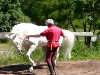 Mr Jean-Yves Bonnet & Djawad