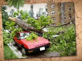 how to find cheap auto owner insurance