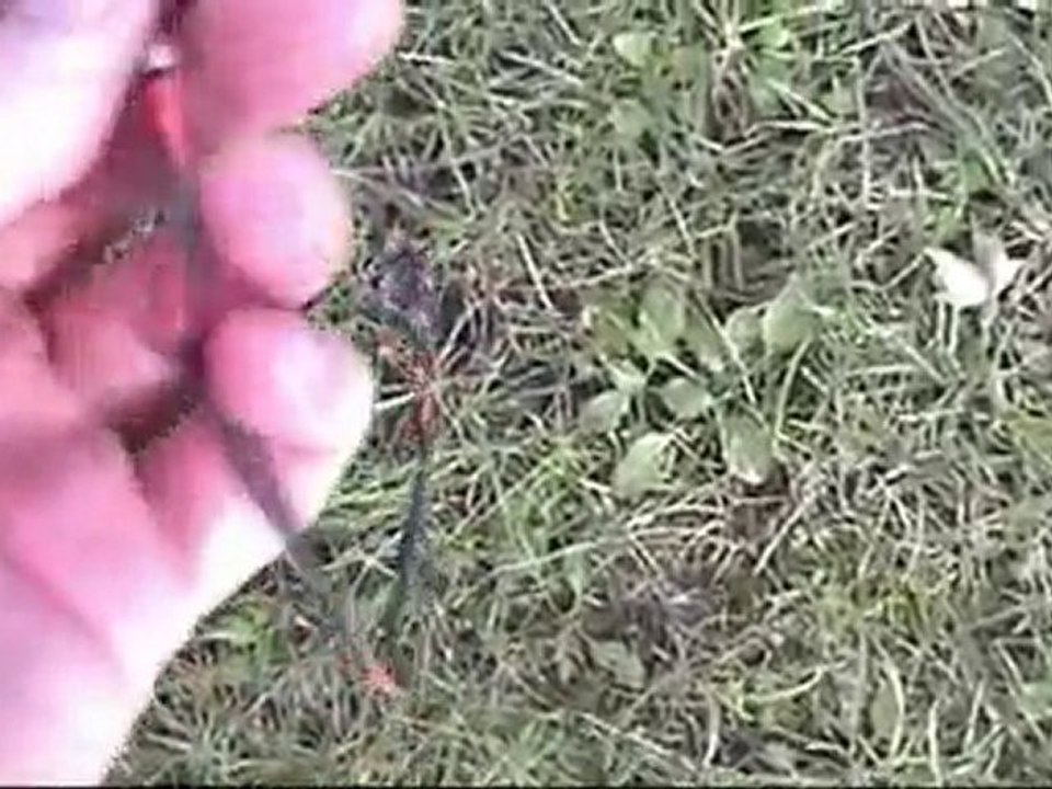Product Review: String Snot