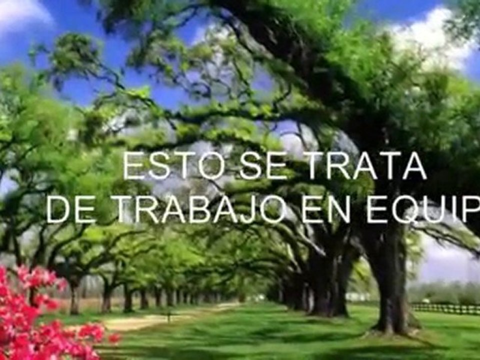 EL EXITO EN TU MLM