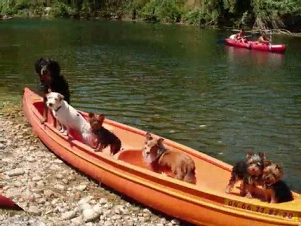 Sortie canoë 2010