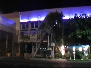 Mariage Moderne : Tendances et Innovations - thumbnail