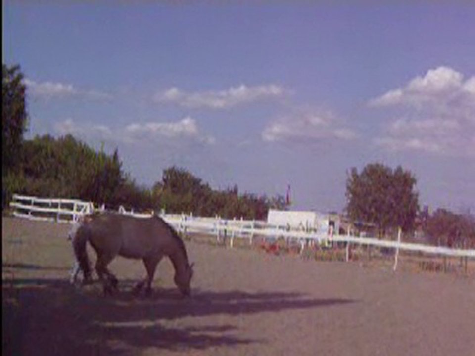 17juillet travail au sol