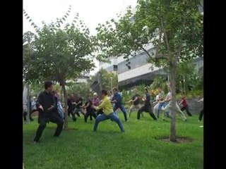 Tai Chi San Shou Los Angeles - Tai Chi San Shou Santa Monic