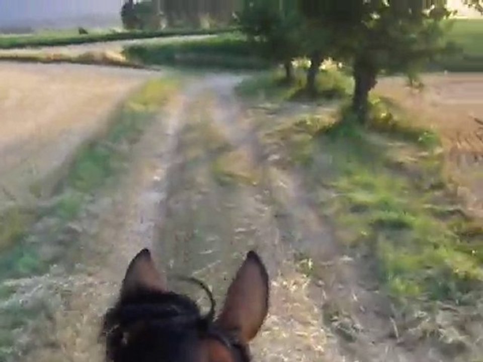 Ballade avec mon Samouuur :D