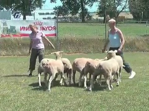 Des Bearded à SOLESMES