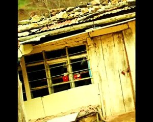 Biraz Yitik Biraz Başına Buyruk Biz