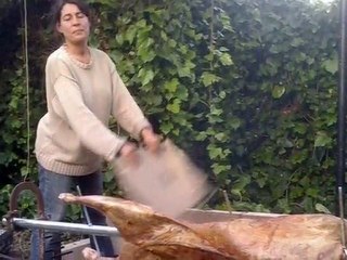 A Part of Life/  Directed by Esther FUSSY