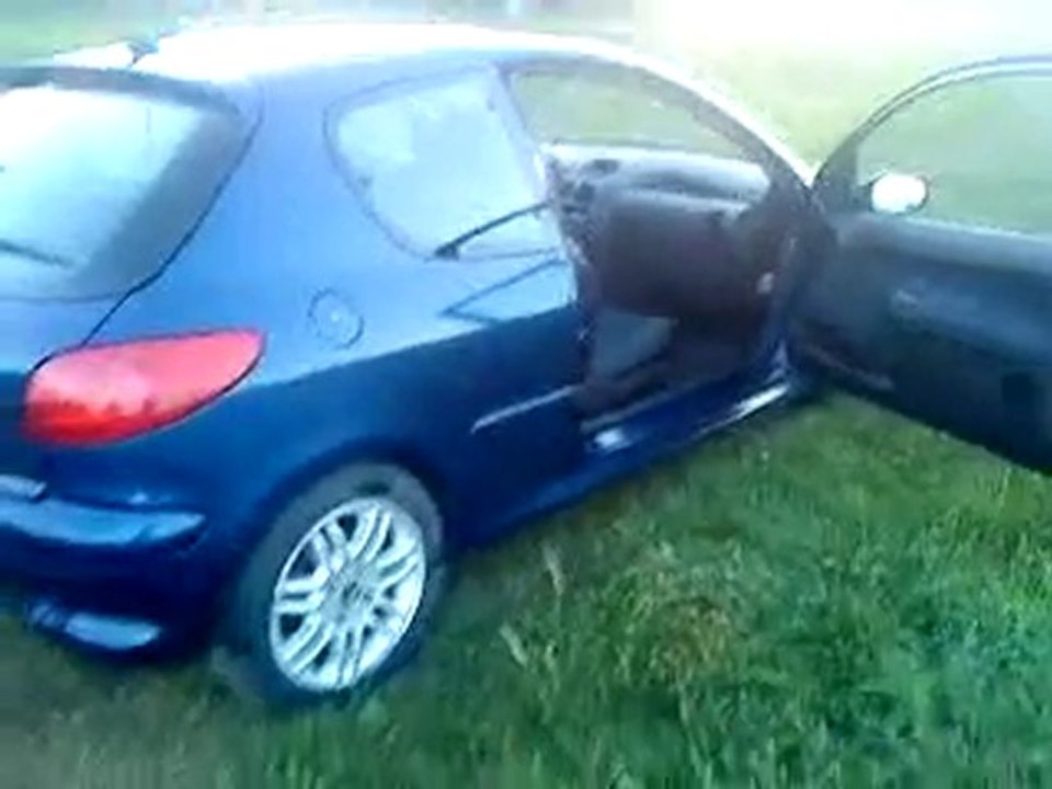 Présentation 206 2L XS HDI année 2000