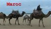 Voyage photo au maroc  avec ForMaroc- Riad Zahra -Essaouira -Maroc