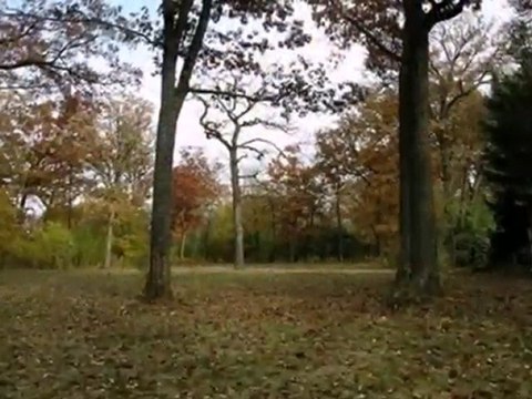 Homes for Sale - 569 Briar Ln - Northfield, IL 60093 - Coldw