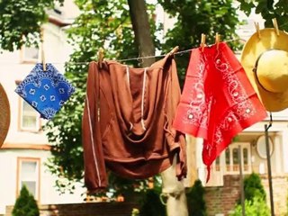 Insect Repellent for Gardeners from Sloggers & Insect Shield