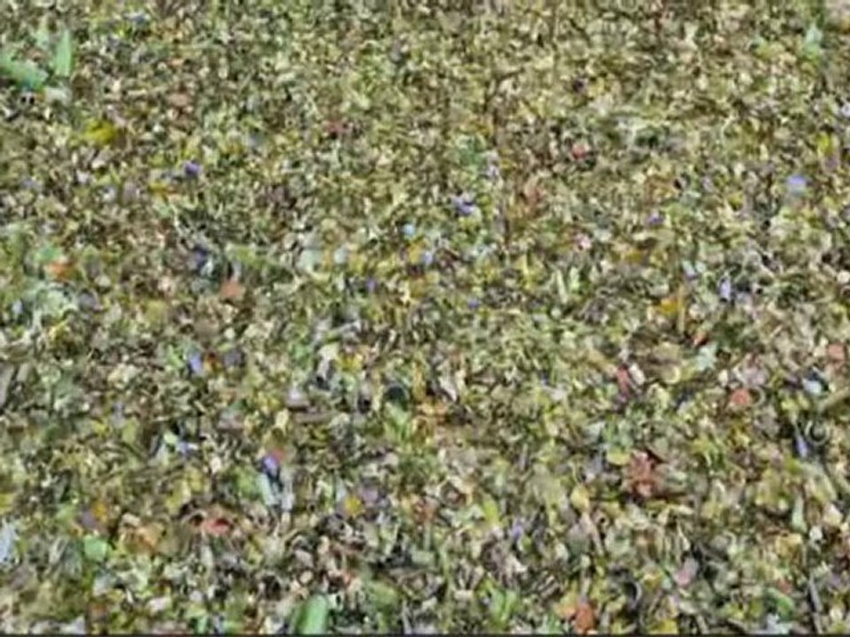 Vivez,Prospérez,Consommez....(3-3)