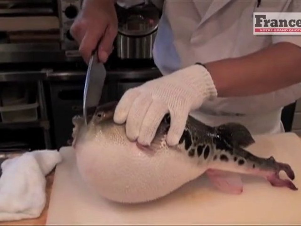 Reportour : Japon, Dégustation de Fugu