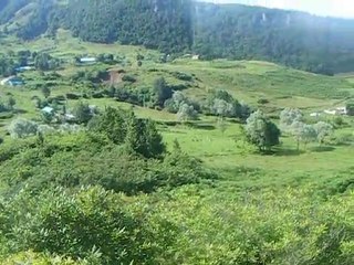 PELİTÖZÜ ŞİİRİ