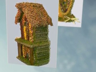 Bird Seed Edible Birdhouse