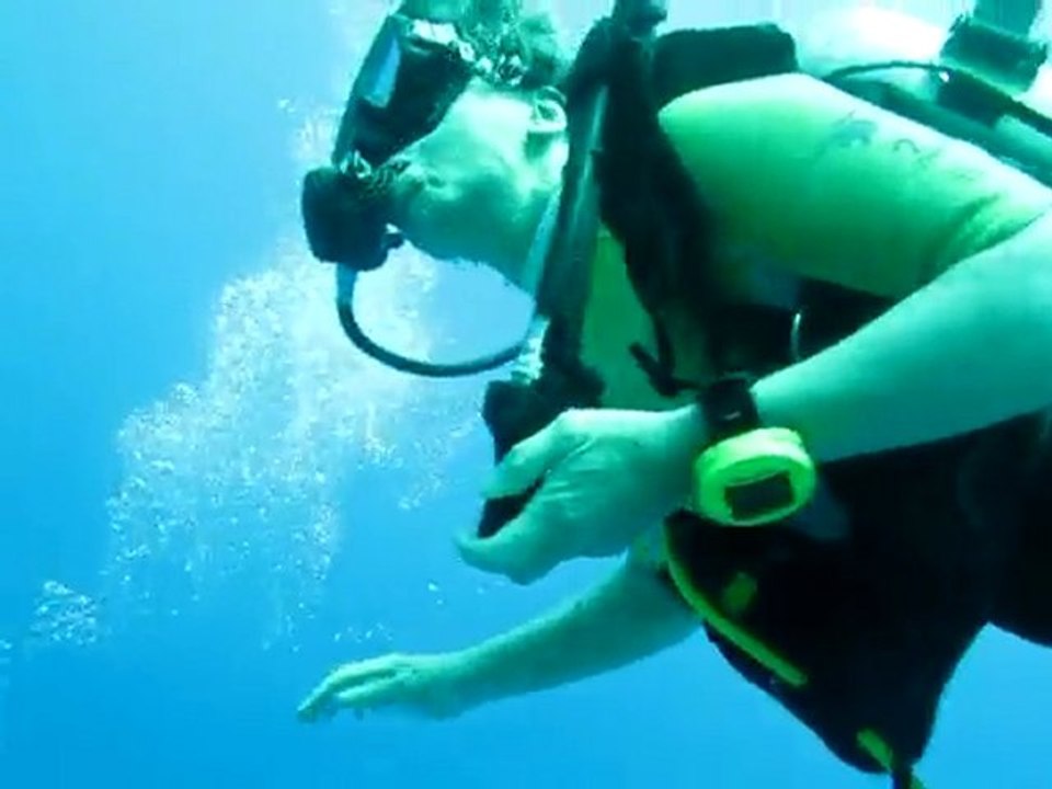 Plongée à Safaga 14 juillet 2010 (Tortue)