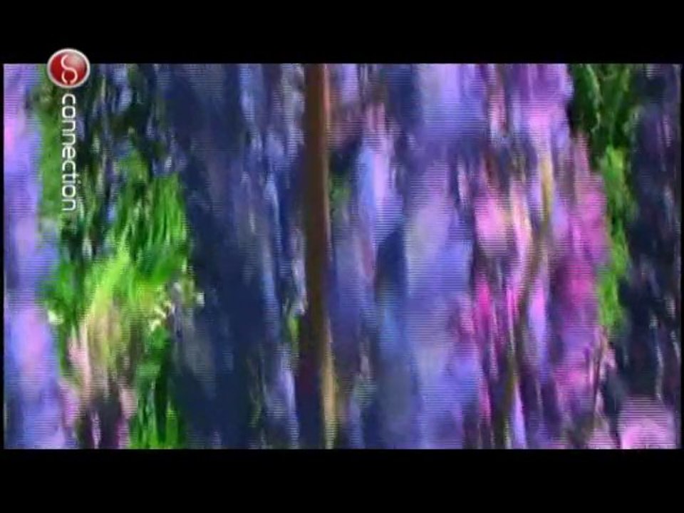 Connection Programa 75