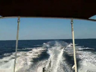 Sortie le 19 Juillet 2010