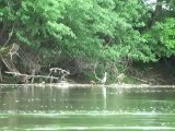 Voyage en Kayak, France, 530km : Canal du midi & Garonne