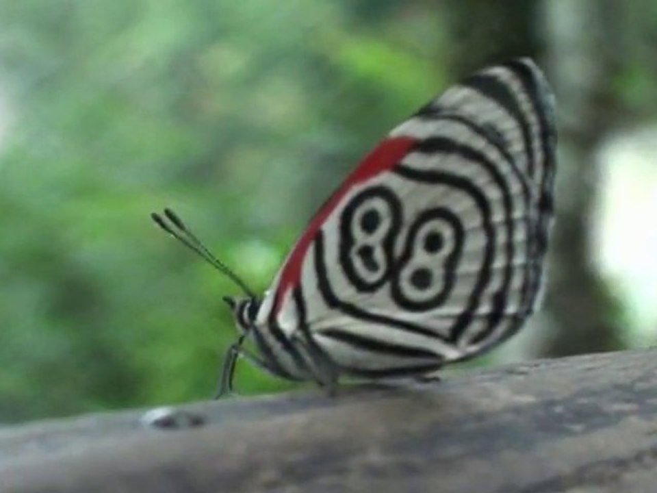 onVoyagepourVous #1 Le parc de la GuiraRoga