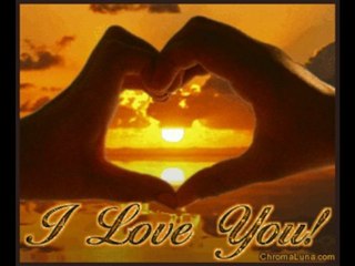 Fallen Bret Michaels