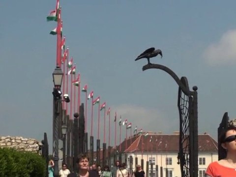 (2) De Prague à Budapest en passant par Vienne - BUDAPEST