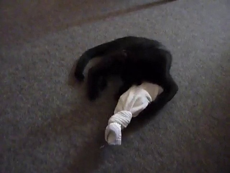 Coco et la Chaussette magique