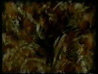 Francis CABREL , Petite Marie live 1991