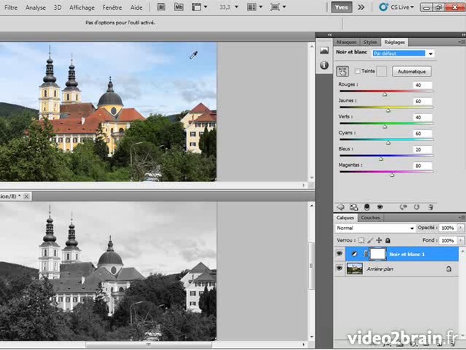 Photoshop CS5 : Convertir en noir et blanc
